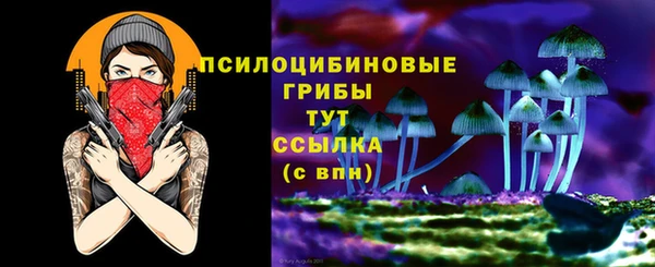 PSILOCYBIN Алексин